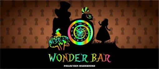 Wonder Bar Chocolate