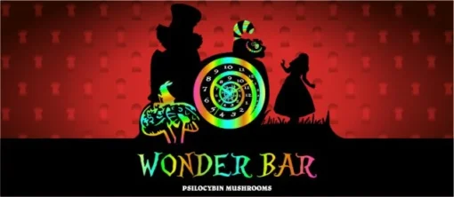 Wonder Bar Chocolate