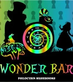 Wonder Bar Chocolate